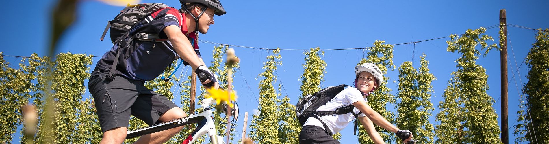 Rad und Mountainbike - Urlaub, Verwöhnhotel Rockenschaub, Liebenau, Mühlviertel, Waldviertel, Oberösterreich