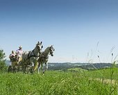 © 2018 Hotel Rockenschaub