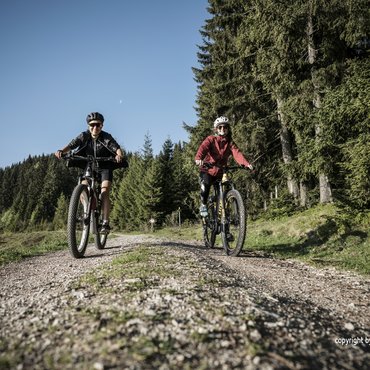 E-Bike Verleih Hotel Rockenschaub Liebenau Mühlviertel Waldviertel Oberösterreich