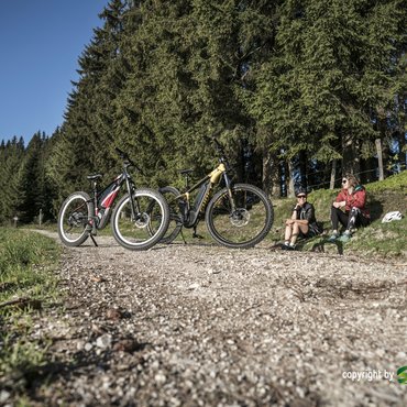 E-Bike Verleih Hotel Rockenschaub Liebenau Mühlviertel Waldviertel Oberösterreich