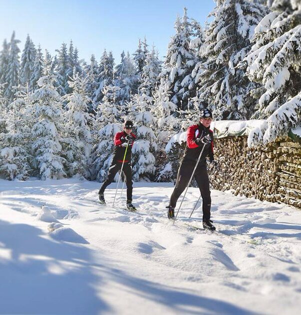 Zwei Personen beim Langlaufen im verschneiten Wald.