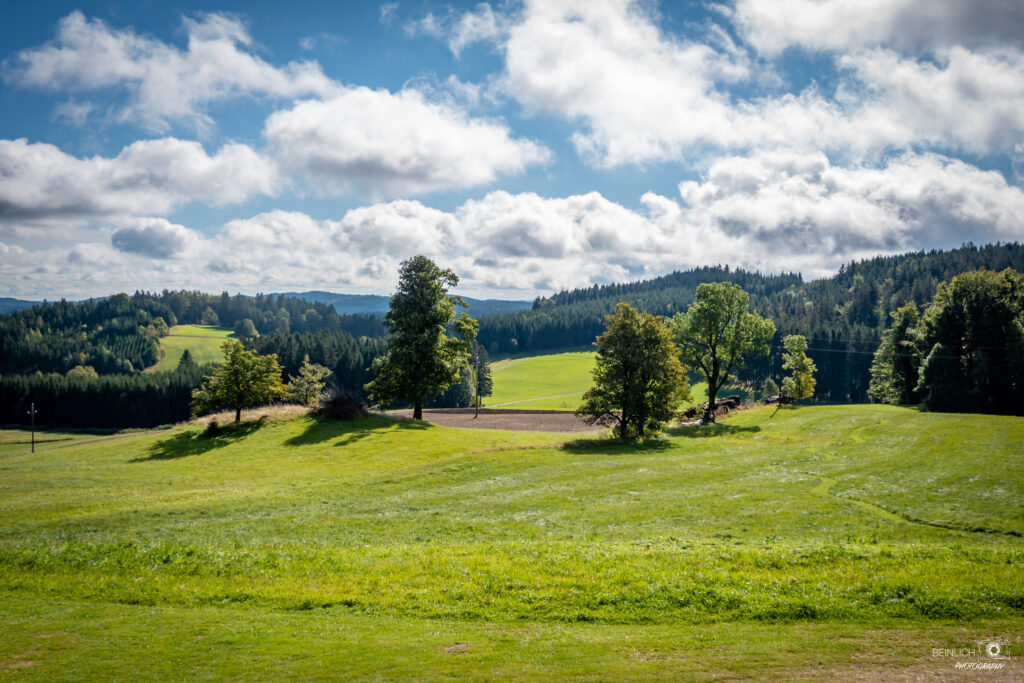 Landschaftsbild einer grünen Wiese mit Bäumen und Hügeln im Hintergrund unter einem bewölkten Himmel.