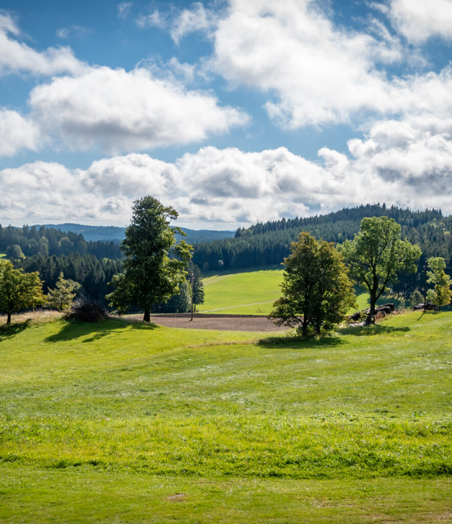 Landschaftsbild von grünen Wiesen unter einem blauen Himmel mit Wolken, umgeben von Bäumen und einer bewaldeten Hügelkette im Hintergrund.