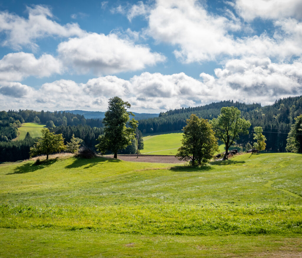 Landschaftsbild einer grünen Wiese mit Bäumen und einem Wald im Hintergrund unter einem bewölkten blauen Himmel.