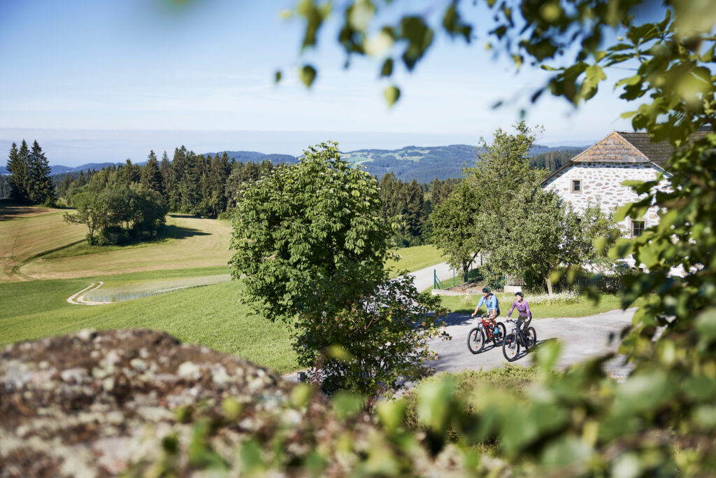 Zwei Personen fahren auf einem Weg Fahrrad neben einem grünen Feld und Bäumen mit einem weitläufigen, bewaldeten Hügel im Hintergrund.
