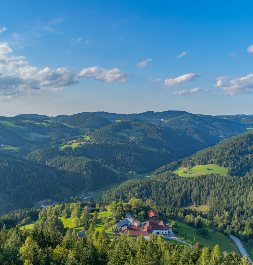 "Blick auf eine malerische Landschaft im Schwarzwald mit weitläufigen grünen Hügeln und einem kleinen Dorf im Tal."