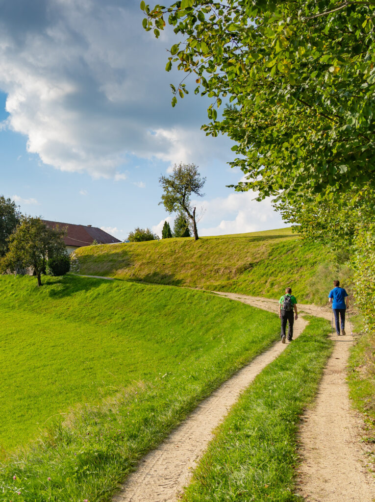 Zwei Wanderer auf einem Feldweg neben einer grünen Wiese unter einem klaren blauen Himmel.