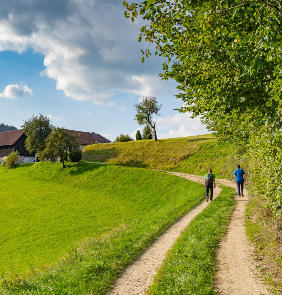 Zwei Personen wandern auf einem Feldweg neben einer grünen Wiese mit einem Bauernhaus im Hintergrund unter einem klaren blauen Himmel.