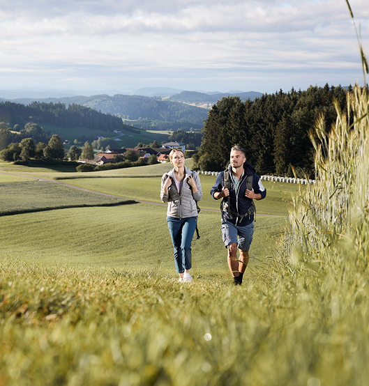 Zwei Personen wandern durch eine ländliche Gegend mit grünen Feldern und hügeliger Landschaft im Hintergrund.