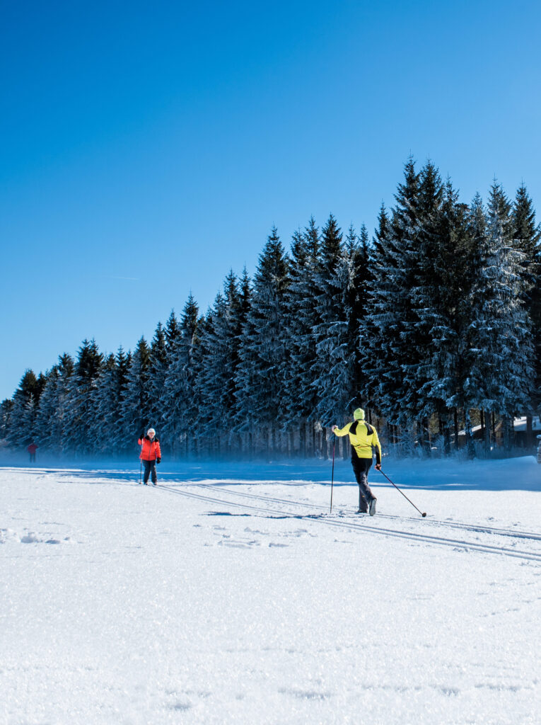 Zwei Personen beim Langlaufen auf verschneitem Feld mit einem Wald im Hintergrund an einem sonnigen, klaren Tag.