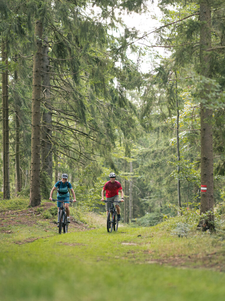 Zwei Personen fahren auf Mountainbikes auf einem Waldweg, umgeben von hohen Bäumen.