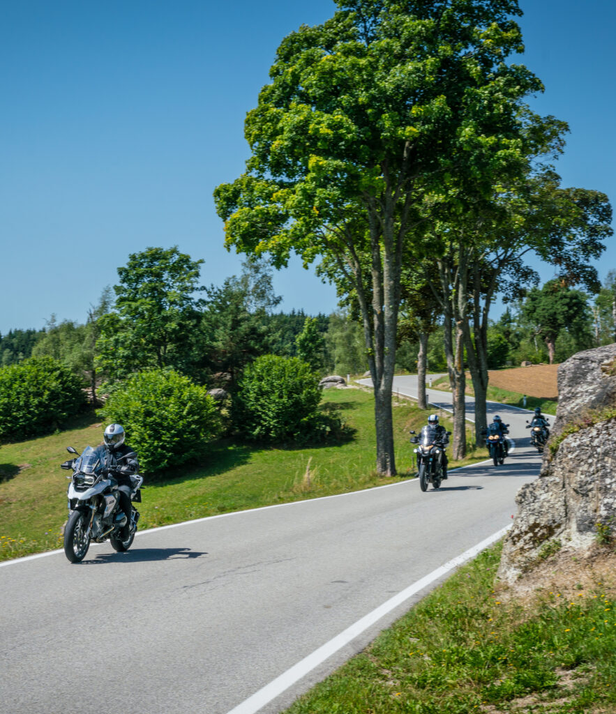 Motorradfahrer fahren auf einer kurvigen Landstraße an einem sonnigen Tag, umgeben von üppigem Grün und Bäumen.